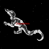 chamaeleon