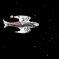 volans